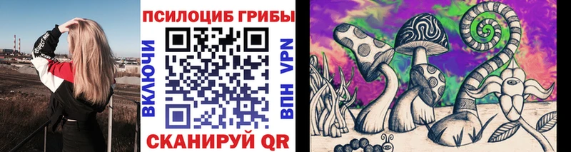 Псилоцибиновые грибы Cubensis купить закладку Новый Оскол